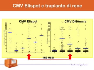 CMV Elispot e trapianto di rene
TRE MESI
CMV Elispot CMV DNAemia
 