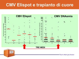 CMV Elispot e trapianto di cuore
TRE MESI
CMV Elispot CMV DNAemia
 