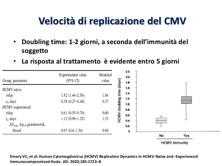 Cmv e trapianto di rene Cmv e trapianto di rene