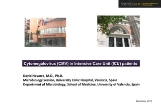 CMV in ICU
Cytomegalovirus (CMV) in Intensive Care Unit (ICU) patients
David Navarro, M.D., Ph.D.
Microbiology Service, University Clinic Hospital, Valencia, Spain
Department of Microbiology, School of Medicine, University of Valencia, Spain
Barcelona, 2013
 
