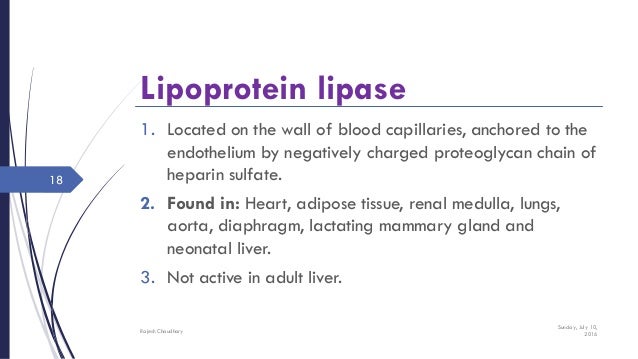 Lipoprotein metabolism