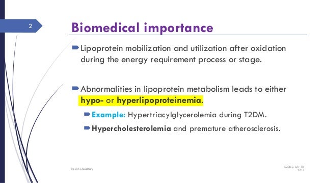 La mejor solución para calcular tu metabolismo basal