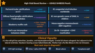 Comprehensive Overview of Congenital and Acquired Cytomegalovirus in ...