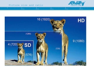 Picture size and ratio 
