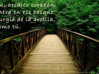 ú, arcaico corazón,
ntra en ese bosque:
urgió de la arcilla,
omo tú.
Por Máximo Monroy
 