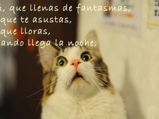 ú, que llenas de fantasmas,
que te asustas,
que lloras,
uando llega la noche;
 