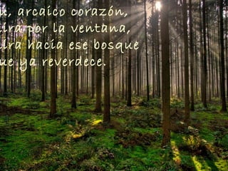 ú, arcaico corazón,
mira por la ventana,
mira hacia ese bosque
ue ya reverdece.
 