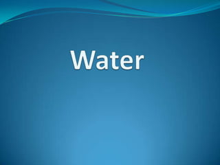 Water   