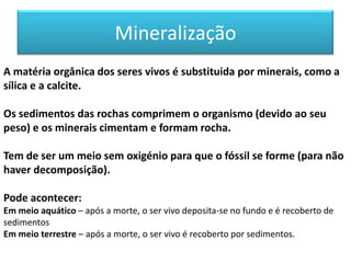 Mineralização
A matéria orgânica dos seres vivos é substituida por minerais, como a
sílica e a calcite.

Os sedimentos das rochas comprimem o organismo (devido ao seu
peso) e os minerais cimentam e formam rocha.

Tem de ser um meio sem oxigénio para que o fóssil se forme (para não
haver decomposição).

Pode acontecer:
Em meio aquático – após a morte, o ser vivo deposita-se no fundo e é recoberto de
sedimentos
Em meio terrestre – após a morte, o ser vivo é recoberto por sedimentos.
 