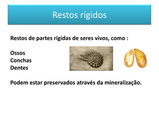 Restos rígidos

Restos de partes rígidas de seres vivos, como :

Ossos
Conchas
Dentes

Podem estar preservados através da mineralização.
 