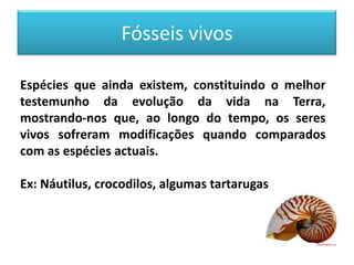 Fósseis vivos

Espécies que ainda existem, constituindo o melhor
testemunho da evolução da vida na Terra,
mostrando-nos que, ao longo do tempo, os seres
vivos sofreram modificações quando comparados
com as espécies actuais.

Ex: Náutilus, crocodilos, algumas tartarugas
 