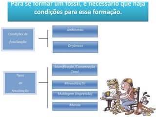 Para se formar um fóssil, é necessário que haja
         condições para essa formação.
 