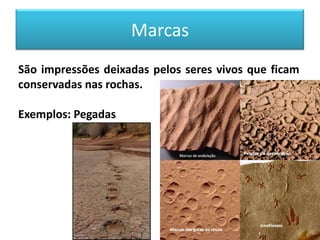 Marcas
São impressões deixadas pelos seres vivos que ficam
conservadas nas rochas.

Exemplos: Pegadas
 