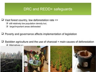 DRC and REDD+ safeguardsDRC and REDD+ safeguards
 Vast forest country, low deforestation rate <=
 still relatively low p...