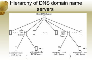 Hierarchy of DNS domain name
            servers
 