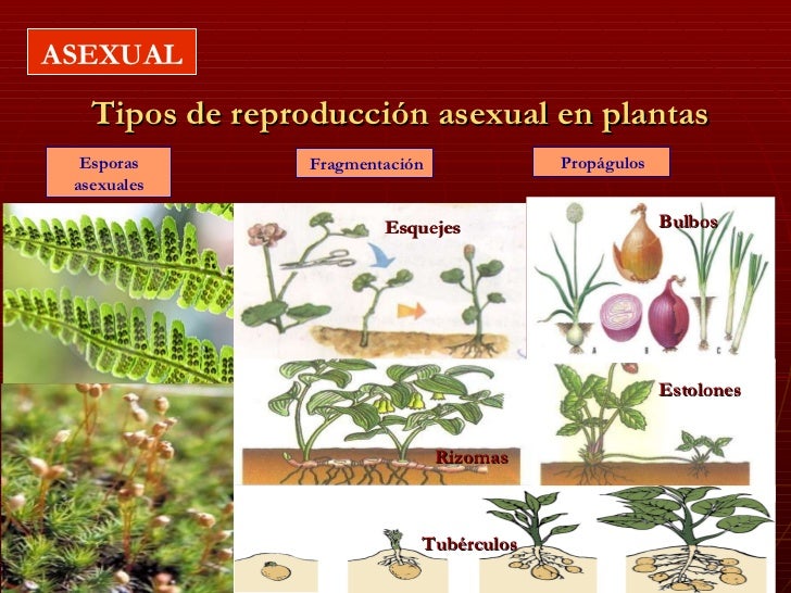 No hay notas en la diapositiva No hay notas en la diapositiva