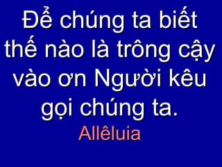 Để chúng ta biết thế nào là trông cậy vào ơn Người kêu gọi chúng ta. Allêluia 