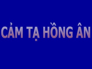 CẢM TẠ HỒNG ÂN 