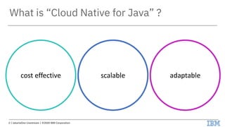 What is “Cloud Native for Java” ?
cost effective scalable adaptable
2 | JakartaOne Livestream | ©2020 IBM Corporation
 