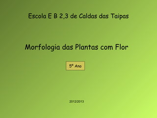 Escola E B 2,3 de Caldas das Taipas




Morfologia das Plantas com Flor

               5º Ano




               2012/2013
 