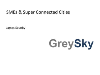 SMEs & Super Connected Cities 
James Saunby 
GreySky 
 