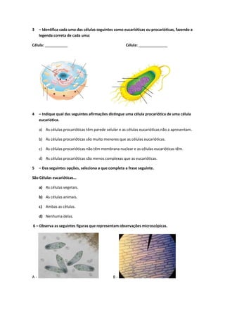 3 – Identifica cada uma das células seguintes como eucarióticas ou procarióticas, fazendo a
legenda correta de cada uma:
Célula: ___________ Célula: ______________
4 – Indique qual das seguintes afirmações distingue uma célula procariótica de uma célula
eucariótica.
a) As células procarióticas têm parede celular e as células eucarióticas não a apresentam.
b) As células procarióticas são muito menores que as células eucarióticas.
c) As células procarióticas não têm membrana nuclear e as células eucarióticas têm.
d) As células procarióticas são menos complexas que as eucarióticas.
5 – Das seguintes opções, seleciona a que completa a frase seguinte.
São Células eucarióticas…
a) As células vegetais.
b) As células animais.
c) Ambas as células.
d) Nenhuma delas.
6 – Observa as seguintes figuras que representam observações microscópicas.
A - B -
 