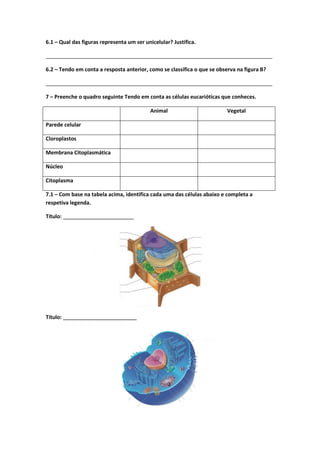 6.1 – Qual das figuras representa um ser unicelular? Justifica.
_____________________________________________________________________________
6.2 – Tendo em conta a resposta anterior, como se classifica o que se observa na figura B?
_____________________________________________________________________________
7 – Preenche o quadro seguinte Tendo em conta as células eucarióticas que conheces.
Animal Vegetal
Parede celular
Cloroplastos
Membrana Citoplasmática
Núcleo
Citoplasma
7.1 – Com base na tabela acima, identifica cada uma das células abaixo e completa a
respetiva legenda.
Título: ________________________
Título: _________________________
 