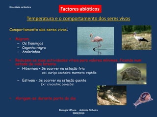 Temperatura e o comportamento dos seres vivos
Comportamento dos seres vivos:
• Migram
– Os flamingos
– Cegonha negra
– Andorinhas
• Reduzem as suas actividades vitais para valores mínimos, ficando num
estado de vida latente
– Hibernam – Se ocorrer na estação fria
ex.: ouriço-cacheiro; marmota; reptéis
– Estivam - Se ocorrer na estação quente
Ex.: crocodilo; caracóis
• Abrigam-se durante parte do dia
Diversidade na Biosfera
Biologia 10ºano António Pinheiro
2009/2010
Factores abióticos
 