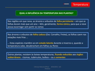 Ciências Naturais 8ºano 2010/2011 A/S
Pinheiro
Temperatura
QUAL A INFLUÊNCIA DA TEMPERATURA NAS PLANTAS?
Nas regiões em que neva, as árvores e arbustos de folha persistente – em que as
folhas duram mais que um ano – têm, geralmente, forma cónica, para que a neve
possa escorregar sem partir os ramos
Nas árvores e arbustos de folha caduca (Exs: Carvalho, Freixo), as folhas caem nas
estações mais frias …
… Estas espécies mantêm-se em estado latente durante o Inverno e, quando a
temperatura sobe, desabrocham em folhas ou flores
Outras plantas, resistem às baixas temperaturas, ficando reduzidas aos órgãos
subterrâneos - rizomas, tubérculos, bolbos – ou a sementes
 