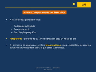 • A luz influencia principalmente:
– Período de actividade
– Comportamento
– Distribuição geográfica
• Fotoperíodo – período de luz (nº de horas) em cada 24 horas do dia
• Os animais e as plantas apresentam fotoperiodismo, isto é, capacidade de reagir à
duração da luminosidade diária a que estão submetidos.
Ciências Naturais 8ºano 2010/2011
A/S Pinheiro
A Luz e o Comportamento dos Seres Vivos
LUZ
 