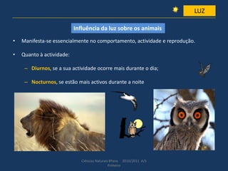 • Manifesta-se essencialmente no comportamento, actividade e reprodução.
• Quanto à actividade:
– Diurnos, se a sua actividade ocorre mais durante o dia;
– Nocturnos, se estão mais activos durante a noite
Ciências Naturais 8ºano 2010/2011 A/S
Pinheiro
LUZ
Influência da luz sobre os animais
 