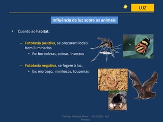 • Quanto ao habitat:
– Fototaxia positiva, se procuram locais
bem iluminados
• Ex: borboletas, cobras, insectos
– Fototaxia negativa, se fogem à luz,
• Ex: morcego, minhocas, toupeiras
Ciências Naturais 8ºano 2010/2011 A/S
Pinheiro
LUZ
Influência da luz sobre os animais
 