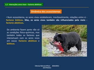 Dinâmica dos ecossistemas
• Num ecossistema, os seres vivos estabelecem, inevitavelmente, relações entre si -
factores bióticos. Mas, os seres vivos também são influenciados pelo meio -
factores abióticos.
Ciências Naturais 8ºano 2010/2011
A/S Pinheiro
1.2 - Interacções seres vivos – factores abióticos
Do ambiente fazem parte não só
as condições físico-químicas, mas
também todos os factores que
interactuam com os seres vivos
em causa -factores abióticos e
bióticos.
 