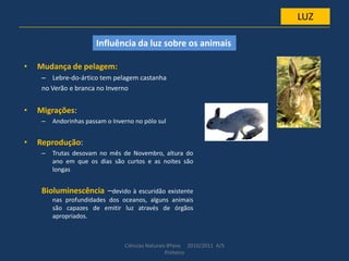 • Mudança de pelagem:
– Lebre-do-ártico tem pelagem castanha
no Verão e branca no Inverno
• Migrações:
– Andorinhas passam o Inverno no pólo sul
• Reprodução:
– Trutas desovam no mês de Novembro, altura do
ano em que os dias são curtos e as noites são
longas
Bioluminescência –devido à escuridão existente
nas profundidades dos oceanos, alguns animais
são capazes de emitir luz através de órgãos
apropriados.
Ciências Naturais 8ºano 2010/2011 A/S
Pinheiro
LUZ
Influência da luz sobre os animais
 