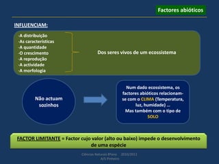 Ciências Naturais 8ºano 2010/2011
A/S Pinheiro
Factores abióticos
-A distribuição
-As características
-A quantidade
-O crescimento
-A reprodução
-A actividade
-A morfologia
Dos seres vivos de um ecossistema
INFLUENCIAM:
Não actuam
sozinhos
Num dado ecossistema, os
factores abióticos relacionam-
se com o CLIMA (Temperatura,
luz, humidade) …
Mas também com o tipo de
SOLO
FACTOR LIMITANTE = Factor cujo valor (alto ou baixo) impede o desenvolvimento
de uma espécie
 