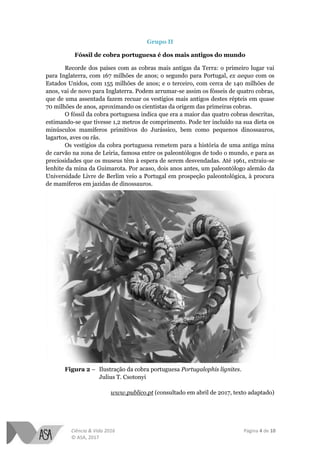 Ciência & Vida 2016 Página 4 de 10
© ASA, 2017
Grupo II
Fóssil de cobra portuguesa é dos mais antigos do mundo
Recorde dos países com as cobras mais antigas da Terra: o primeiro lugar vai
para Inglaterra, com 167 milhões de anos; o segundo para Portugal, ex aequo com os
Estados Unidos, com 155 milhões de anos; e o terceiro, com cerca de 140 milhões de
anos, vai de novo para Inglaterra. Podem arrumar-se assim os fósseis de quatro cobras,
que de uma assentada fazem recuar os vestígios mais antigos destes répteis em quase
70 milhões de anos, aproximando os cientistas da origem das primeiras cobras.
O fóssil da cobra portuguesa indica que era a maior das quatro cobras descritas,
estimando-se que tivesse 1,2 metros de comprimento. Pode ter incluído na sua dieta os
minúsculos mamíferos primitivos do Jurássico, bem como pequenos dinossauros,
lagartos, aves ou rãs.
Os vestígios da cobra portuguesa remetem para a história de uma antiga mina
de carvão na zona de Leiria, famosa entre os paleontólogos de todo o mundo, e para as
preciosidades que os museus têm à espera de serem desvendadas. Até 1961, extraiu-se
lenhite da mina da Guimarota. Por acaso, dois anos antes, um paleontólogo alemão da
Universidade Livre de Berlim veio a Portugal em prospeção paleontológica, à procura
de mamíferos em jazidas de dinossauros.
Figura 2 – Ilustração da cobra portuguesa Portugalophis lignites.
Julius T. Csotonyi
www.publico.pt (consultado em abril de 2017, texto adaptado)
 