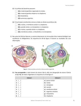 Teste de avaliação 1
Editável e fotocopiável © Texto ● CN 8.o ano 5
1.5 As células das bactérias possuem:
(A) o material genético organizado no núcleo.
(B) o material genético disperso no citoplasma.
(C) mitocôndrias.
(D) numerosos organitos.
1.6 Os principais constituintes comuns a todas as células eucarióticas são:
(A) o núcleo, a membrana celular e o citoplasma.
(B) a parede celular, os cloroplastos e o citoplasma.
(C) o núcleo, a parede celular e o citoplasma.
(D) a membrana celular, a mitocôndria e os cloroplastos.
2. Nas aulas de Ciências Naturais, os alunos observaram ao microscópio ótico material biológico que
recolheram no Melgacharco. Os esquemas A e B da figura 3 ilustram os resultados das suas
observações.
Figura 3 – Célula eucariótica animal (A) e célula eucariótica vegetal (B).
2.1 Faz corresponder a cada número da coluna I (de 1. a 8.) uma designação da coluna II (letras
de a) a f)), de modo a legendares os esquemas A e B da figura 3.
Coluna I Coluna II
1. [ __]
2. [ __]
3. [ __]
4. [ __]
5. [ __]
6. [ __]
7. [ __]
8. [ __]
a) parece celular
b) núcleo
c) cloroplasto
d) vacúolo
e) membrana celular
f) organitos celulares
g) mitocôndria
h) citoplasma
 