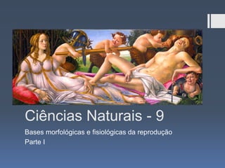 Ciências Naturais - 9
Bases morfológicas e fisiológicas da reprodução
Parte I

 