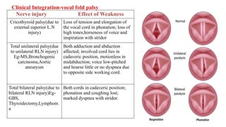 CN 9,10,11,12 ANATOMY AND FUNCTION nerves .pptx