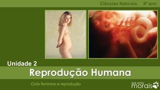 Ciências Naturais   9º ano




Unidade 2
      Reprodução Humana
       Ciclo feminino e reprodução
 