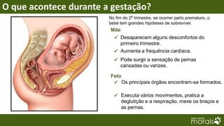 O que acontece durante a gestação?
                        No fim do 2º trimestre, se ocorrer parto prematuro, o
                        bebé tem grandes hipóteses de sobreviver.
                        Mãe
                           Desaparecem alguns desconfortos do
                            primeiro trimestre.
                           Aumenta a frequência cardíaca.
                           Pode surgir a sensação de pernas
                            cansadas ou varizes.

                        Feto
                          Os principais órgãos encontram-se formados.

                           Executa vários movimentos, pratica a
                            deglutição e a respiração, mexe os braços e
                            as pernas.
 