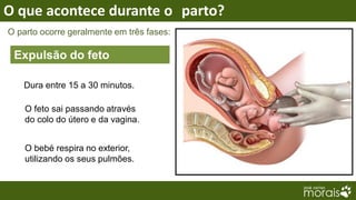 O que acontece durante o parto?
O parto ocorre geralmente em três fases:

 Expulsão do feto

   Dura entre 15 a 30 minutos.

    O feto sai passando através
    do colo do útero e da vagina.


    O bebé respira no exterior,
    utilizando os seus pulmões.
 