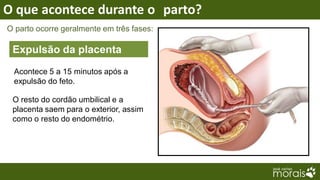 O que acontece durante o parto?
O parto ocorre geralmente em três fases:

 Expulsão da placenta
 Acontece 5 a 15 minutos após a
 expulsão do feto.

 O resto do cordão umbilical e a
 placenta saem para o exterior, assim
 como o resto do endométrio.
 