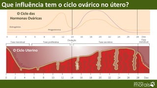 Que influência tem o ciclo ovárico no útero?
      O Ciclo das
   Hormonas Ováricas




     O Ciclo Uterino




  Planeta Terra — 9.º ano
 