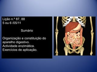 Lição n.º 87, 88
5 ou 6 /05/11

             Sumário

Organização e constituição do
aparelho digestivo.
Actividade enzimática.
Exercícios de aplicação.
 