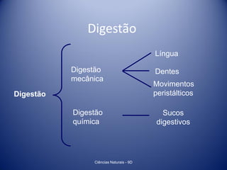 Digestão
                                         Língua

           Digestão                      Dentes
           mecânica
                                         Movimentos
Digestão                                 peristálticos

           Digestão                         Sucos
           química                        digestivos




                Ciências Naturais - 9D
 