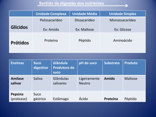 Sentido da digestão dos nutrientes

              Unidade Complexa         Unidade Média         Unidade Simples
                 Polissacarídeo           Dissacarídeo        Monossacarídeo
Glícidos              Ex: Amido           Ex: Maltose           Ex: Glicose

                      Proteína              Péptido             Aminoácido
Prótidos


Enzimas      Suco          Glândula         pH do suco     Substrato   Produto
             digestivo     Produtora do
                           suco
Amílase      Saliva        Glândulas        Ligeiramente   Amido       Maltose
salivar                    salivares        Neutro

Pepsina      Suco
(protease)   gástrico      Estômago         Ácido          Proteína    Péptido
 