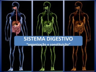 SISTEMA DIGESTIVO
“organização e constituição”
 