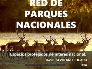 RED DE
PARQUES
NACIONALES
Espacios protegidos de interés nacional.
JAVIER SEVILLANO ROGADO
4ºA
 