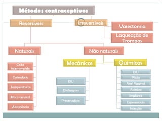 Cn9metodosanticoncepcionais 101122031931-phpapp01